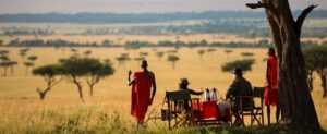 8 Days Luxury Safari in Tanzania